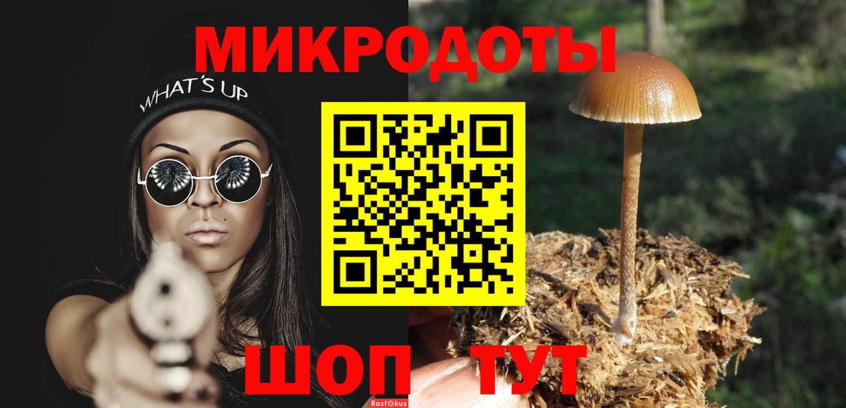 Ессентуки  Псилоцибиновые грибы Psilocybine cubensis  Вход с VPN 